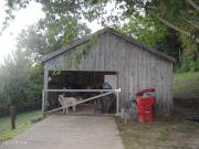 2208 Indian Gap Rd