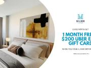 221 Queen Street South