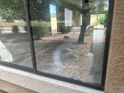 22221 N 31st Dr, Phoenix, AZ 85027 | MLS #6938 | Compass