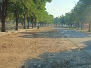 2250 Sq.Ft. Plot in Sector 37 Faridabad Listing ID #8664