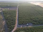 22600 SILVER RIDGE RD, DENAIR, CA 95316