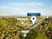 226k/ sqm Commercial Lot for Sale in Daang Hari, Las...