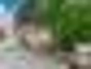 2/29a Mc Intosh Street, Queanbeyan NSW 2620