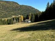 22,89 ha Wald und Wiesenliegenschaft mit Haus und...