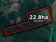 22.8 HECTÁREAS EN VENTA LA AGUADA VERACRUZ | ARLETTE FLORES