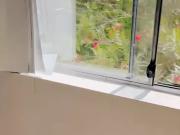 22 Kennedy St, Sydney