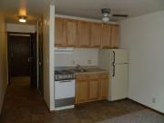 22 Studio Apartment for Rent at 22 Langdon St, Madison,...