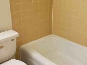 22 Studio Apartment for Rent at 22 Langdon St, Madison,...