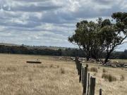 230 Acres approx. close to Casterton