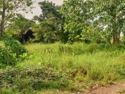 231 sqm Residential Lot for Sale in Rosario Heights,...