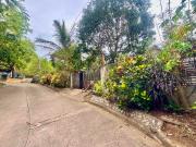 232 sqm Overlooking Residential Lot For Sale in Gusa...