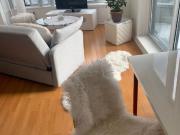 233 Beecroft Road #1903