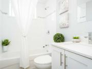 233 Mohawk Road East 1 Bedroom Apartment for Rent at 233...