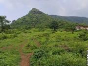 239580 Sq.Ft. Plot in Taloja Navi Mumbai