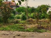 239 sqm Residential Lot for Sale in Rosario Heights,...