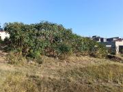 240 m² Land available in Newlands West