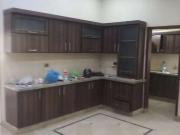 240 sq yard new portion with roof for rent in kda...