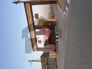 240 sq yards plot for sale in andaleeb co operative...