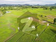 240 Sq. Yd. Residential Plot For Sale At Faridi Niazi...