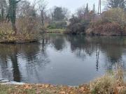 2431 Enzersdorf/Fischa Großfamilie gesucht