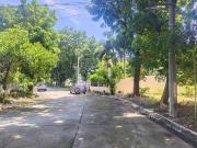244 sqm lot for sale in La Residencia Subd. Bacoor Cavite