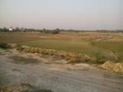 2450 Sq Ft Residential Plot In Paradise Garden, Bakshi...