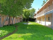 2451 Olivera Rd 2 Bedroom Apartment for Rent at 2451...