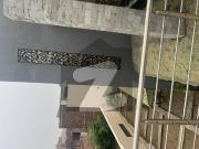 24.50 Marla Beautiful House University Town