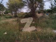 24 Marla Awesome Location Level Plot Available For Sale...