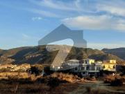 24 Marla Plot with Extra Land Available For Sale On...