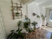 250 M² Casa Alugar, 3 Dormitórios localizado em Jardim...