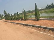 250 Sq.Yd. Plot in Aerocity Mohali Listing ID #8676