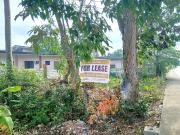 250 sqm Lot For Lease Tawala, Panglao