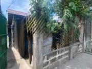 250sqm Affordable Price Two House and Lot for Sale Dona...