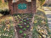 2513 Vail Avenue unit: 4, 4, Charlotte, NC 28207