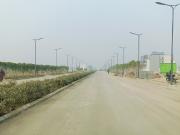 251 Sq.Yd. Plot in Tdi City Panipat Listing ID #8860