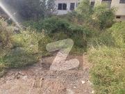 25*40 size plot for sale in D12/4