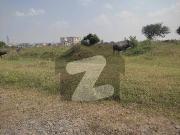 25*50 size plot for sale in e 12/1