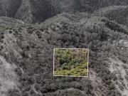 25555 GRANT RIDGE RD, COLUMBIA, CA 95310