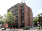 255 King Street West Bachelor [object Promise] for Rent