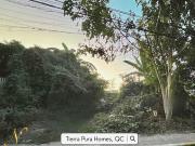 256 SQM Residential Vacant Lot For Sale Tierra Pura...