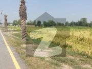 25 Kanal Premium Open Land On Bedian Road Near Sofia...