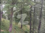 25 Marla Double Story fully Furnished House for sale...