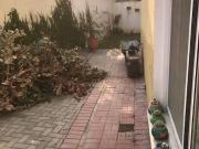 25 Marla house for rent