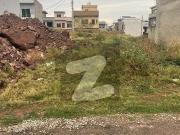 25x40 Level Sun Face Plot 1276 40 Feet Street I 11/2 For...