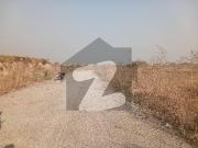 25x50 Lavel Sun Pace Plot 400 Series I 12/4 For Sale