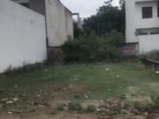 2610 Sq.Ft. Plot in Sector 75 Faridabad Listing ID #8787