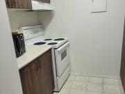 263 Arrowstone Drive