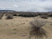 2655 E 8th St, Silver Springs, NV 89429 | MLS #250004 |...