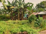 269 sqm Residential Lot for Sale in Rosario Heights,...